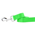 Neon Green Nylon Dog Leash by 2 Hounds Design