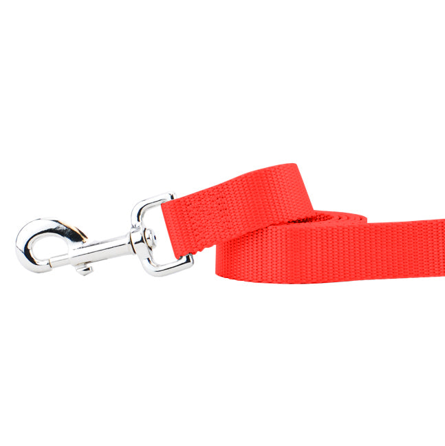 Neon Orange Nylon Dog Leash by 2 Hounds Design
