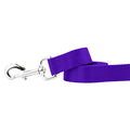 Purple Nylon Dog Leash by 2 Hounds Design