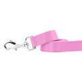 Rose Pink Nylon Dog Leash by 2 Hounds Design