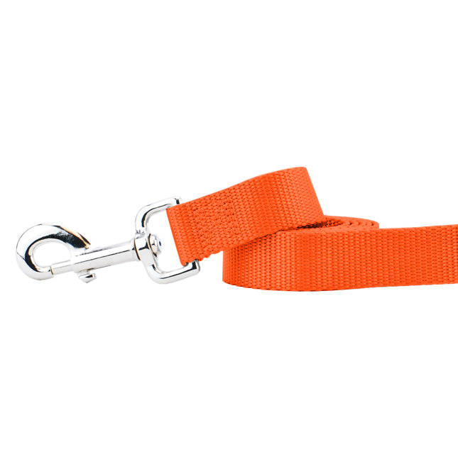 Rust Nylon Dog Leash (1" only) by 2 Hounds Design