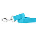 Turquoise Nylon Dog Leash by 2 Hounds Design