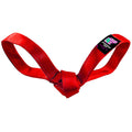 LUCKY DOG $7 Love Bird Seatbelt Tug by American Dog