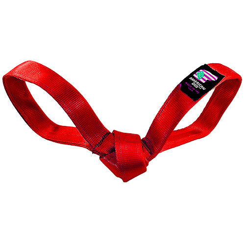 LUCKY DOG $7 Love Bird Seatbelt Tug by American Dog