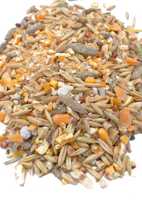 16% Premium Layer Feed With Black Soldier Fly Larvae, Fishmeal, & Herbs {Soy Free + High Protein} by Dahlia Pets