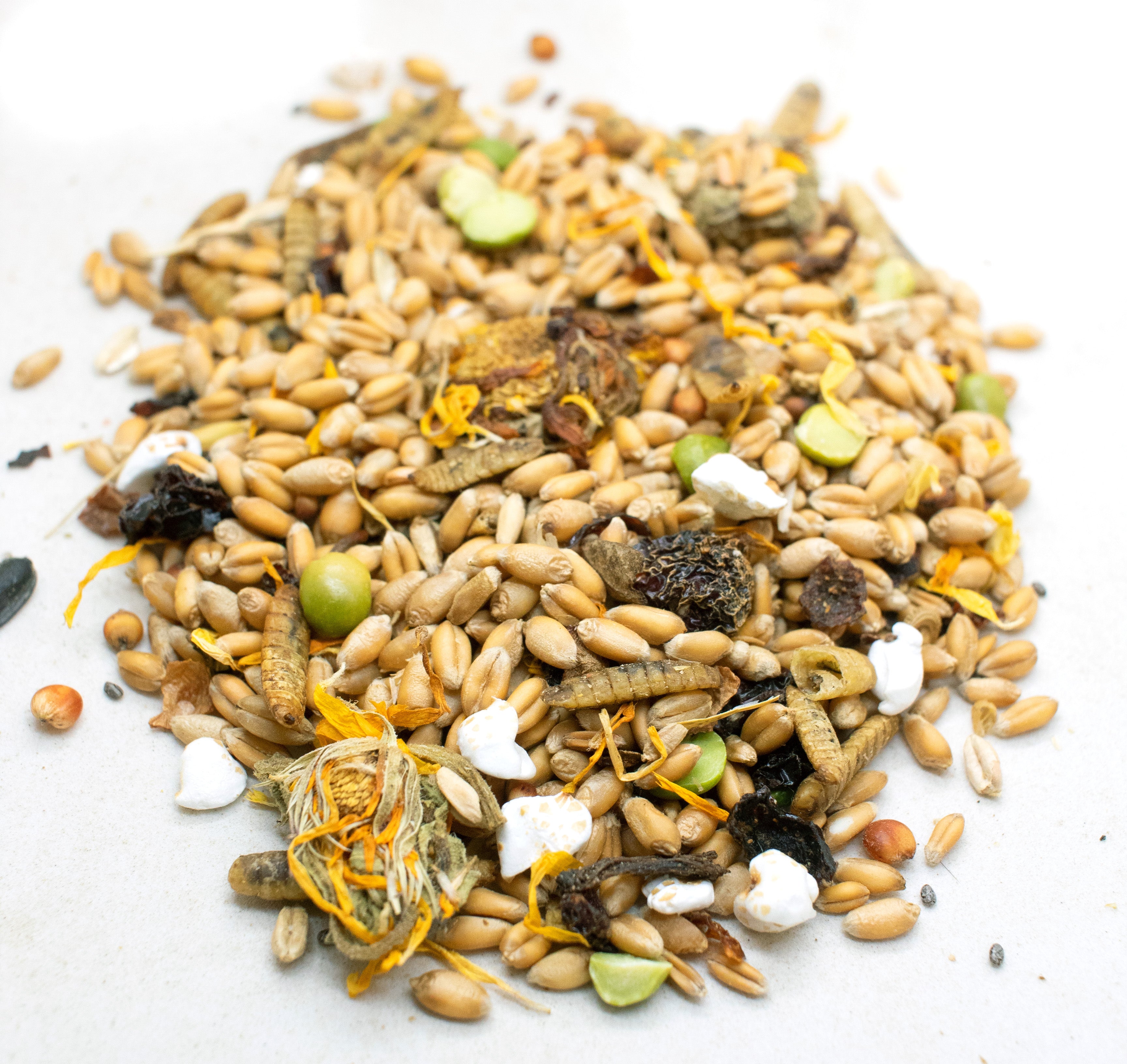 Lucky Chicken Textured Treat To Encourage Foraging by Dahlia Pets