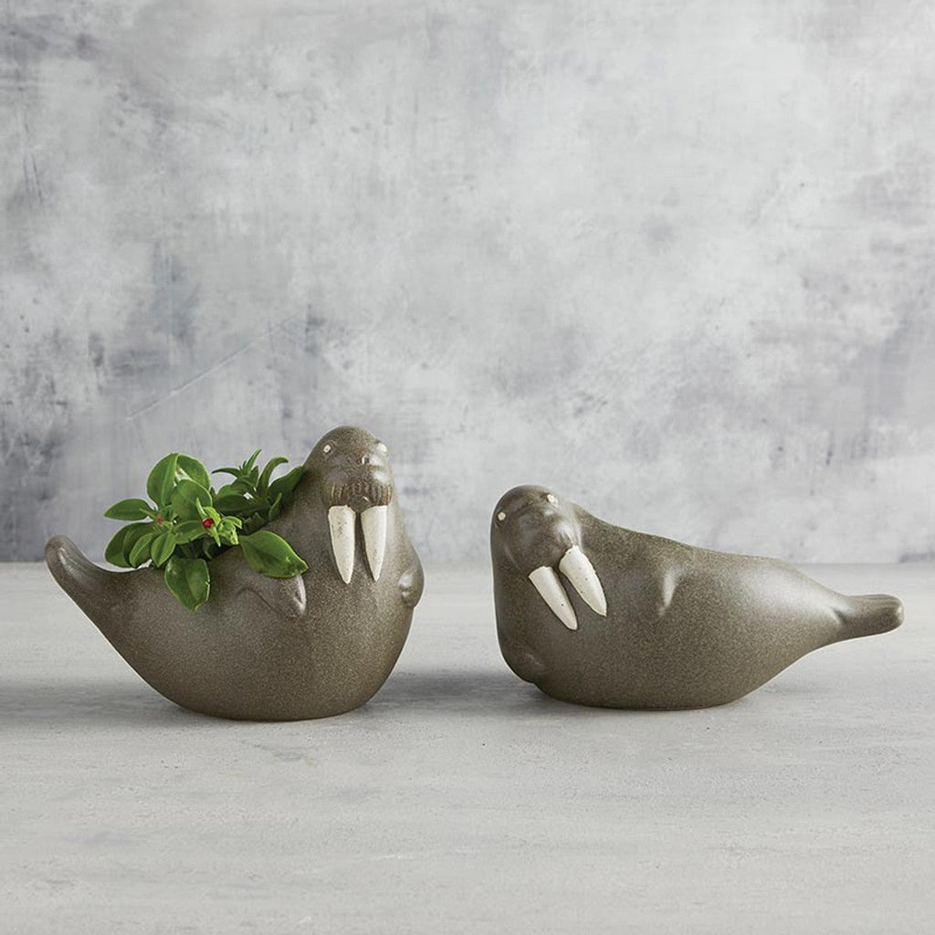 Large Laying Walrus Planter | Ceramic Aquatic Animal Design Pot | 8" x 6" by The Bullish Store