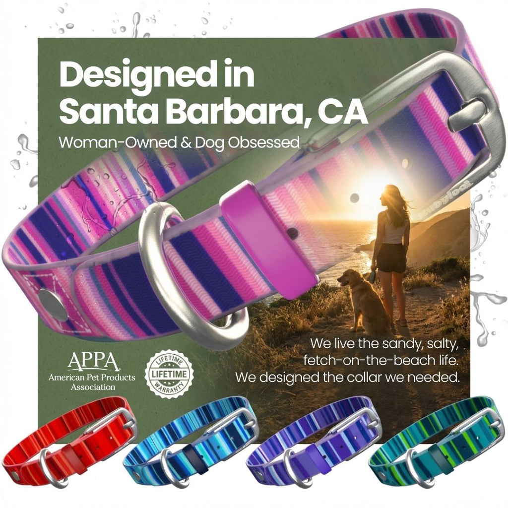 Waterproof Dog Collars – Washable Dog Collar, Stink-Proof & Durable by Rubyloo