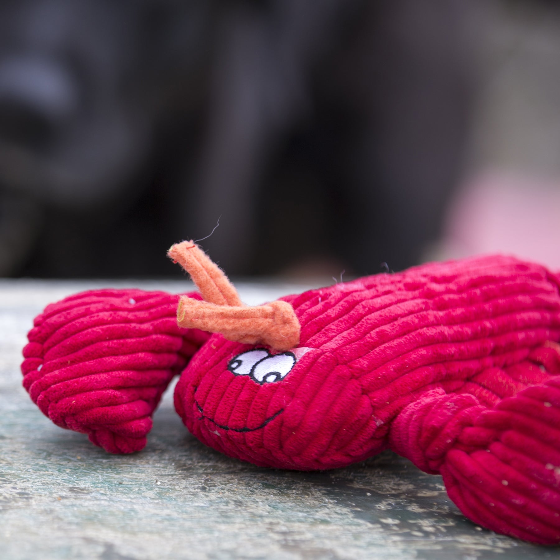 McCracken Lobsta™ Knottie® Plush Dog Toy by HuggleHounds