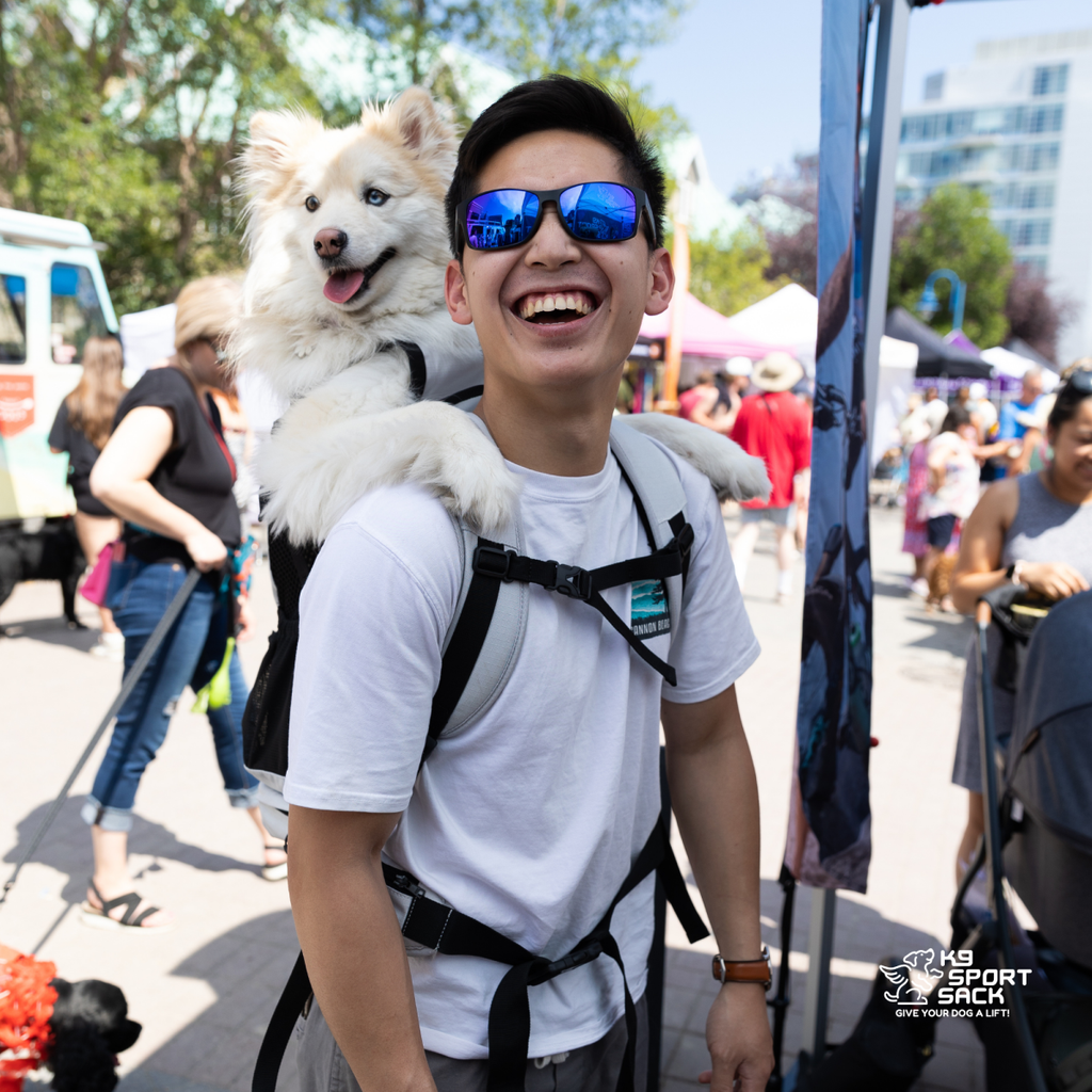 Knavigate | Advanced Dog Carrier with Internal Frame & Hip Belt by K9 Sport Sack