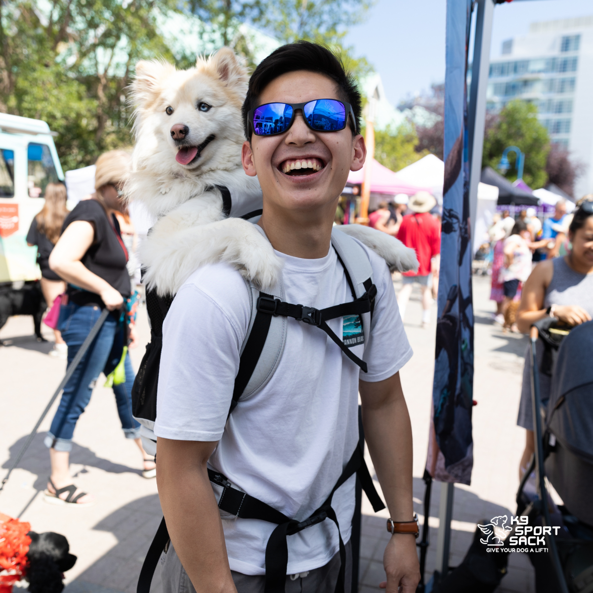 Knavigate | Advanced Dog Carrier with Internal Frame & Hip Belt by K9 Sport Sack