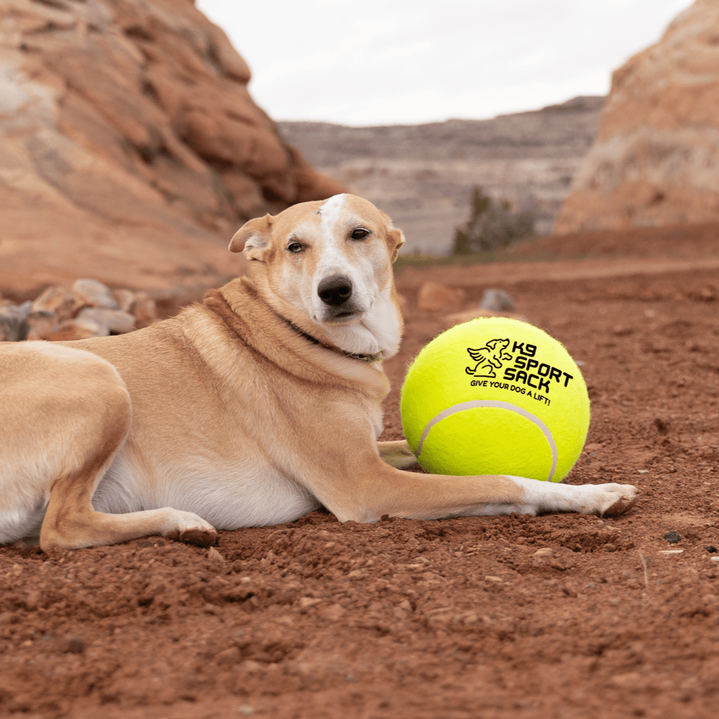 Too Big to Chew Tennis Ball by K9 Sport Sack