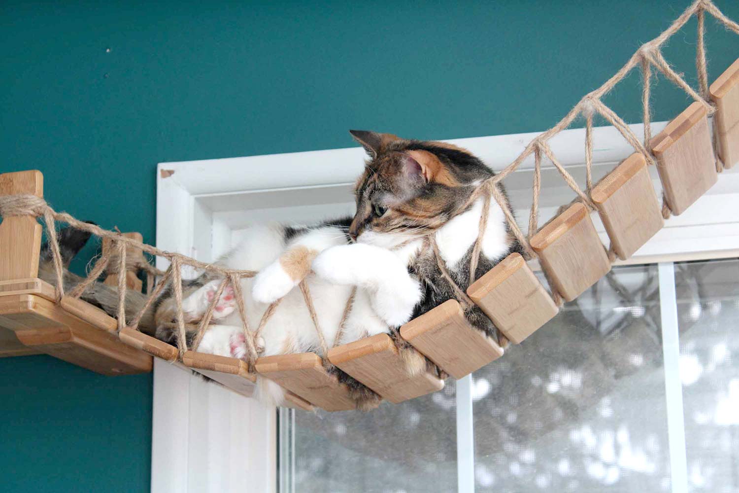Cat Wall Bridge and Shelf Set by Catastrophic Creations