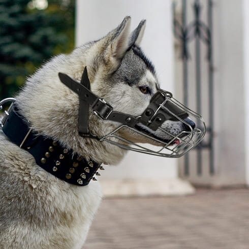 Viper Delta Metal Wire Basket Dog Muzzle by Dogline