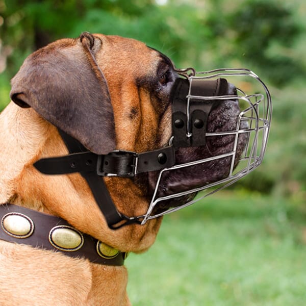 Viper Delta Metal Wire Basket Dog Muzzle by Dogline