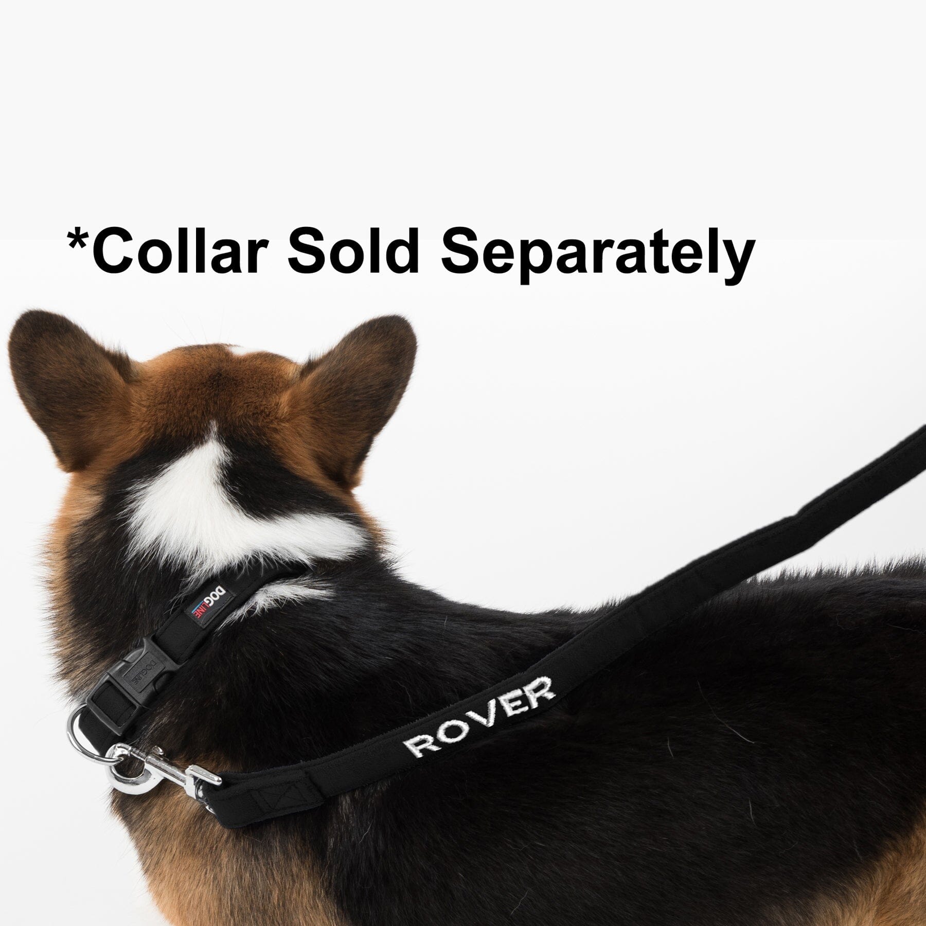 Comfort Microfiber Flat Dog Leash by Dogline