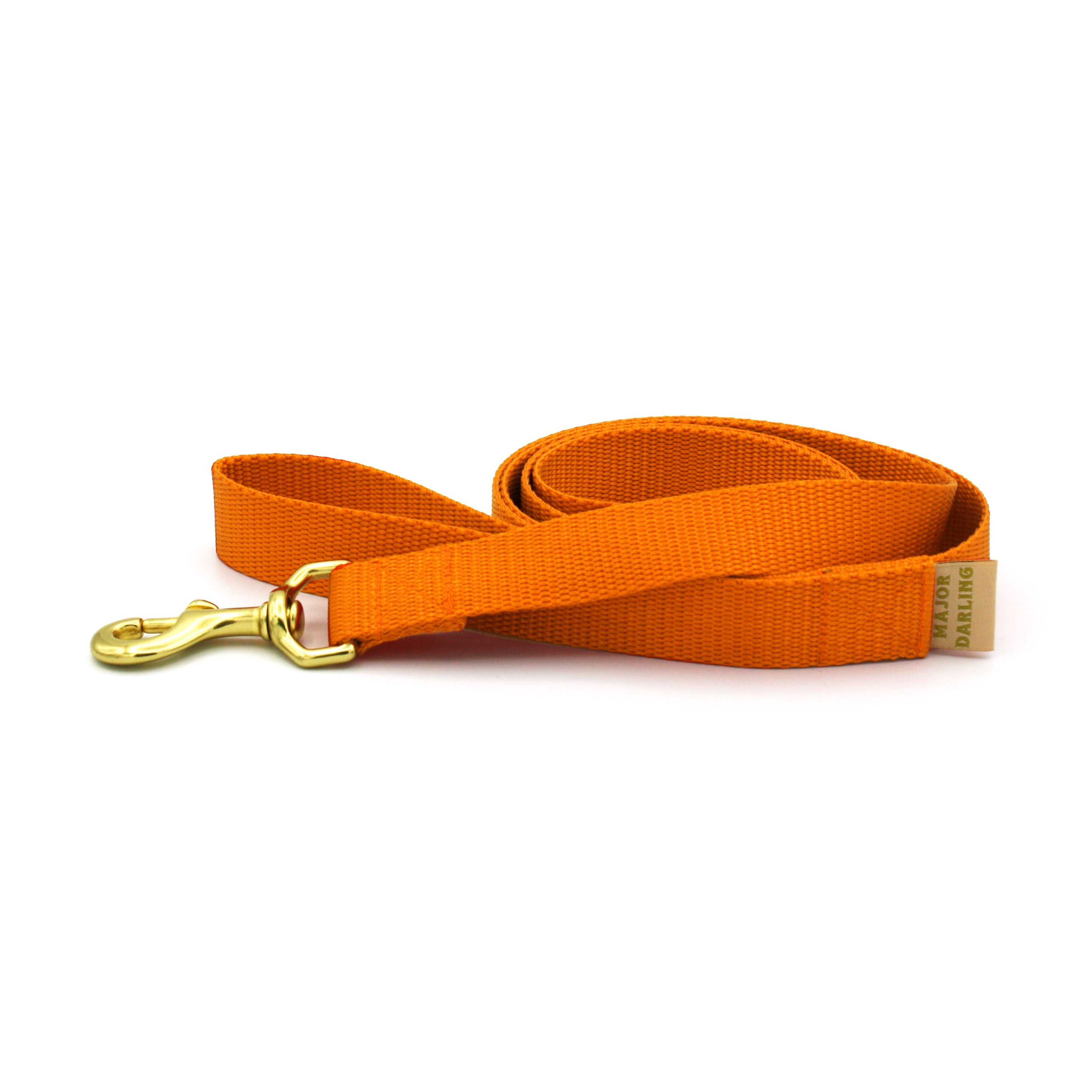 basic leash by Major Darling