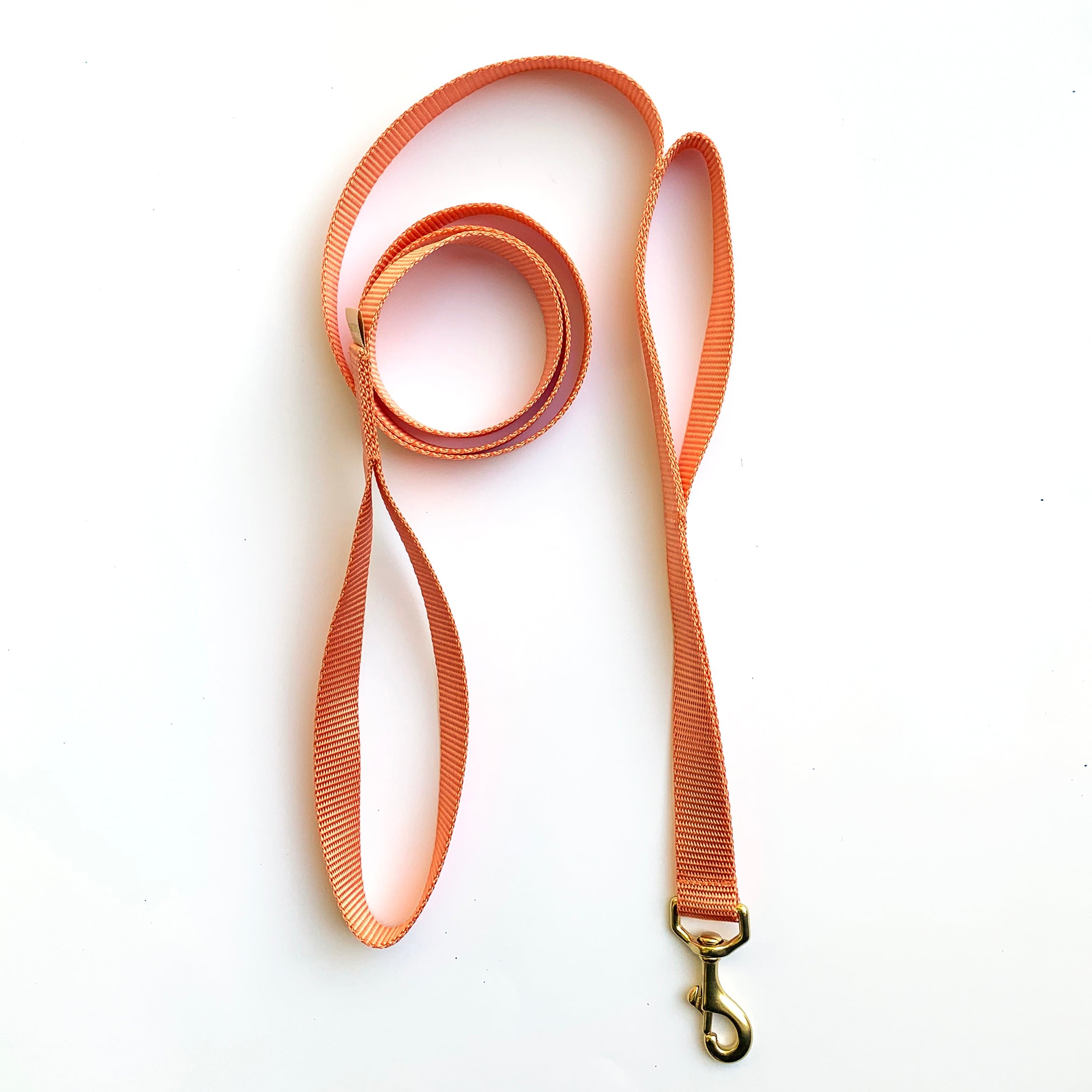 double handle leash / traffic leash by Major Darling