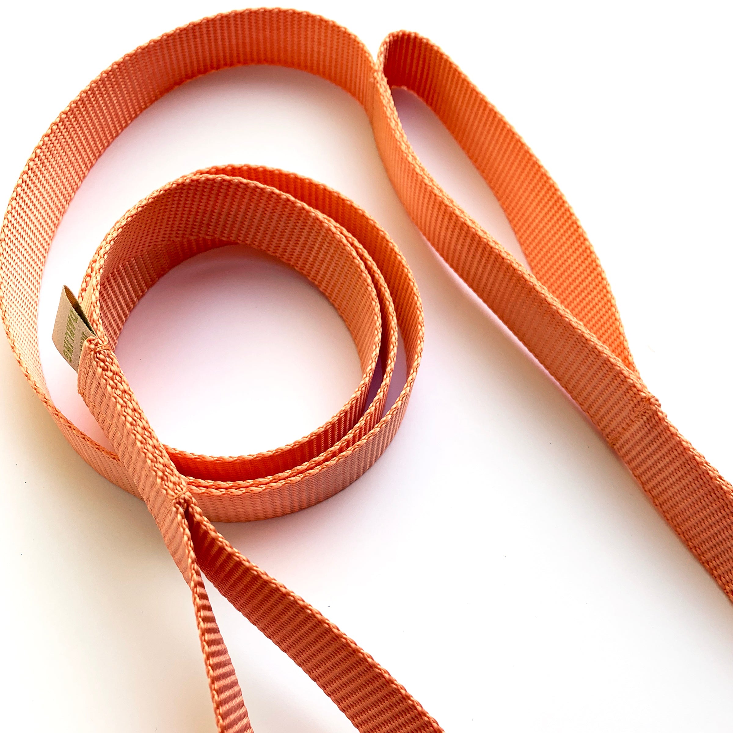 double handle leash / traffic leash by Major Darling