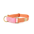 martingale collar / peach + pink by Major Darling