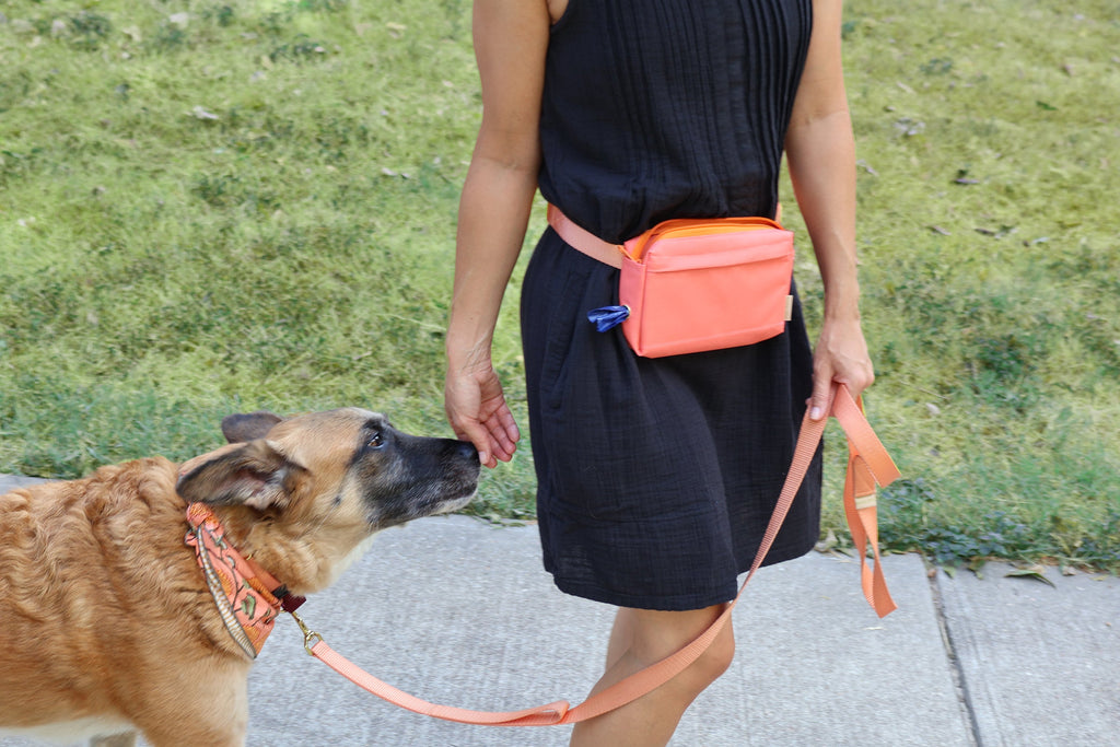 dog walking fanny pack by Major Darling