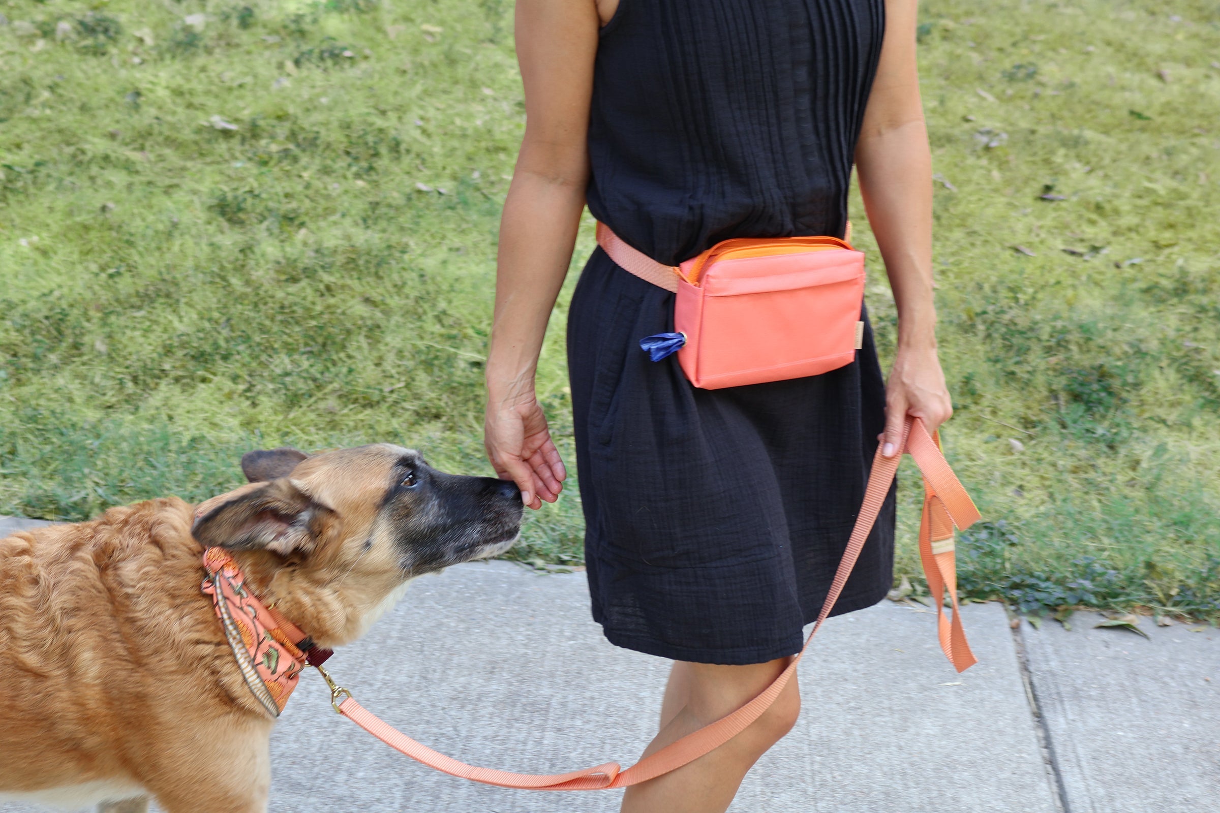 dog walking fanny pack by Major Darling