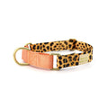 martingale collar / leopard + peach