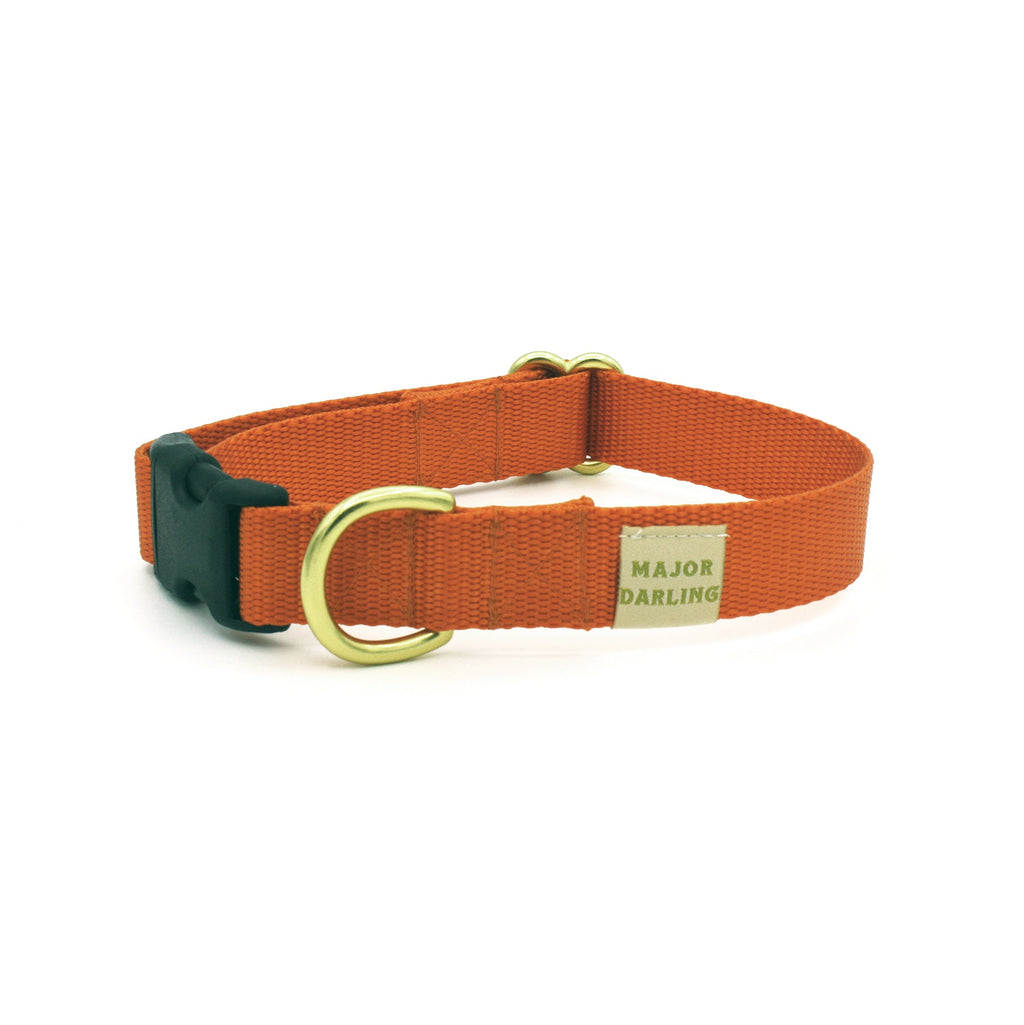 basic snap collar by Major Darling