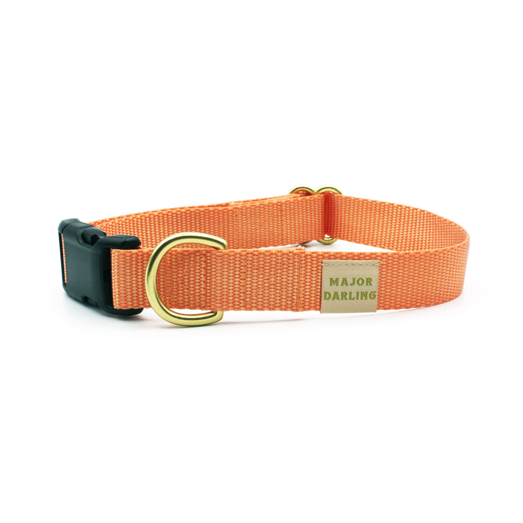 basic snap collar by Major Darling