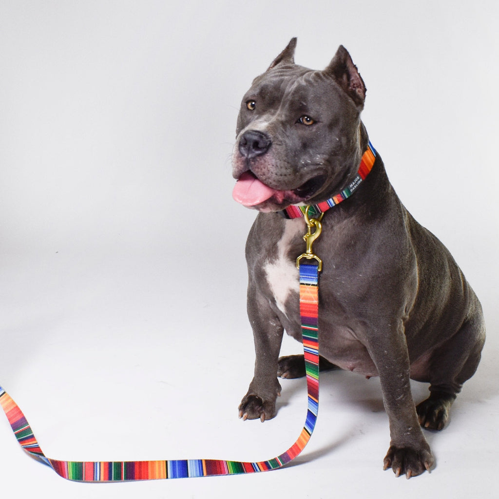 not-so-basic leash / serape by Major Darling