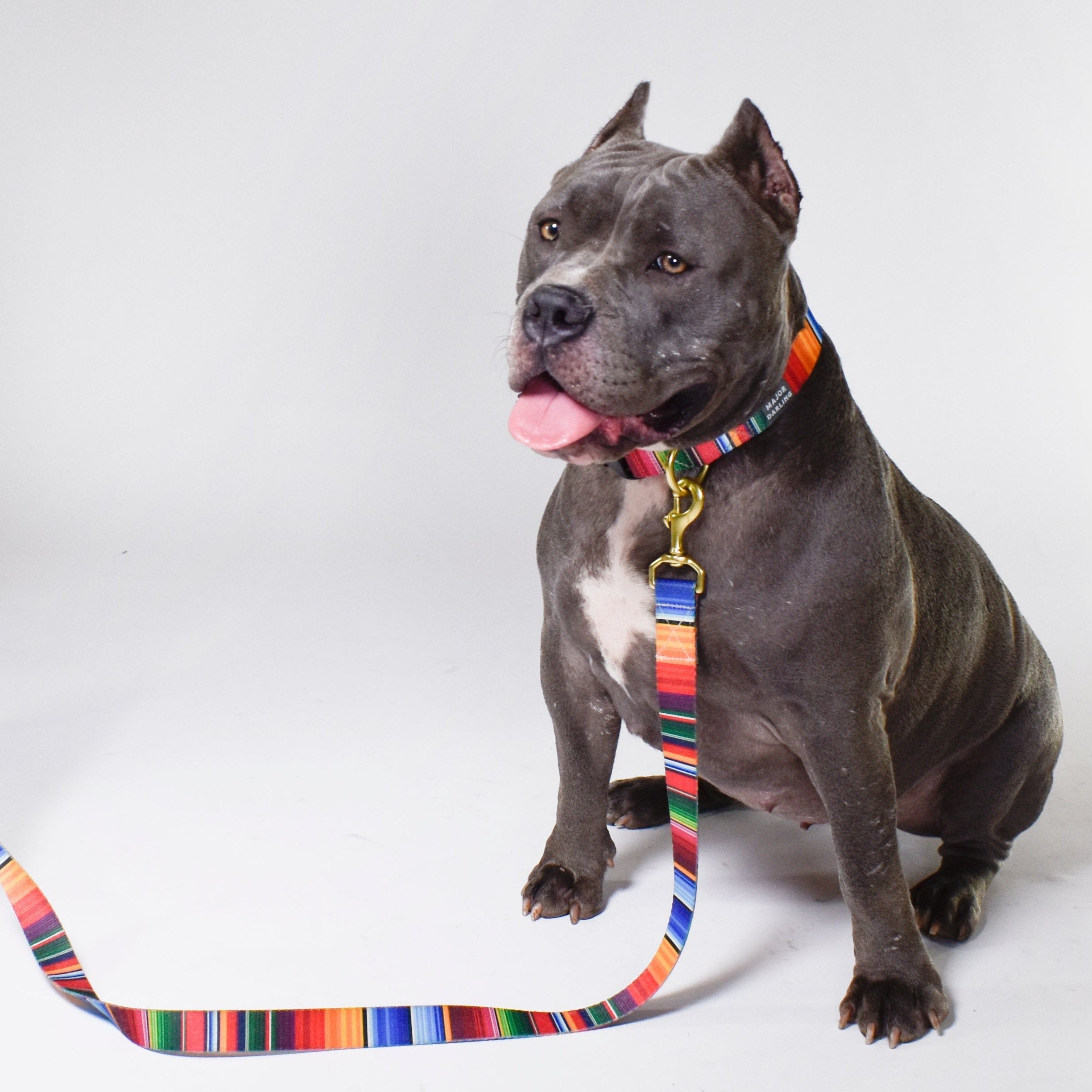 not-so-basic leash / serape by Major Darling