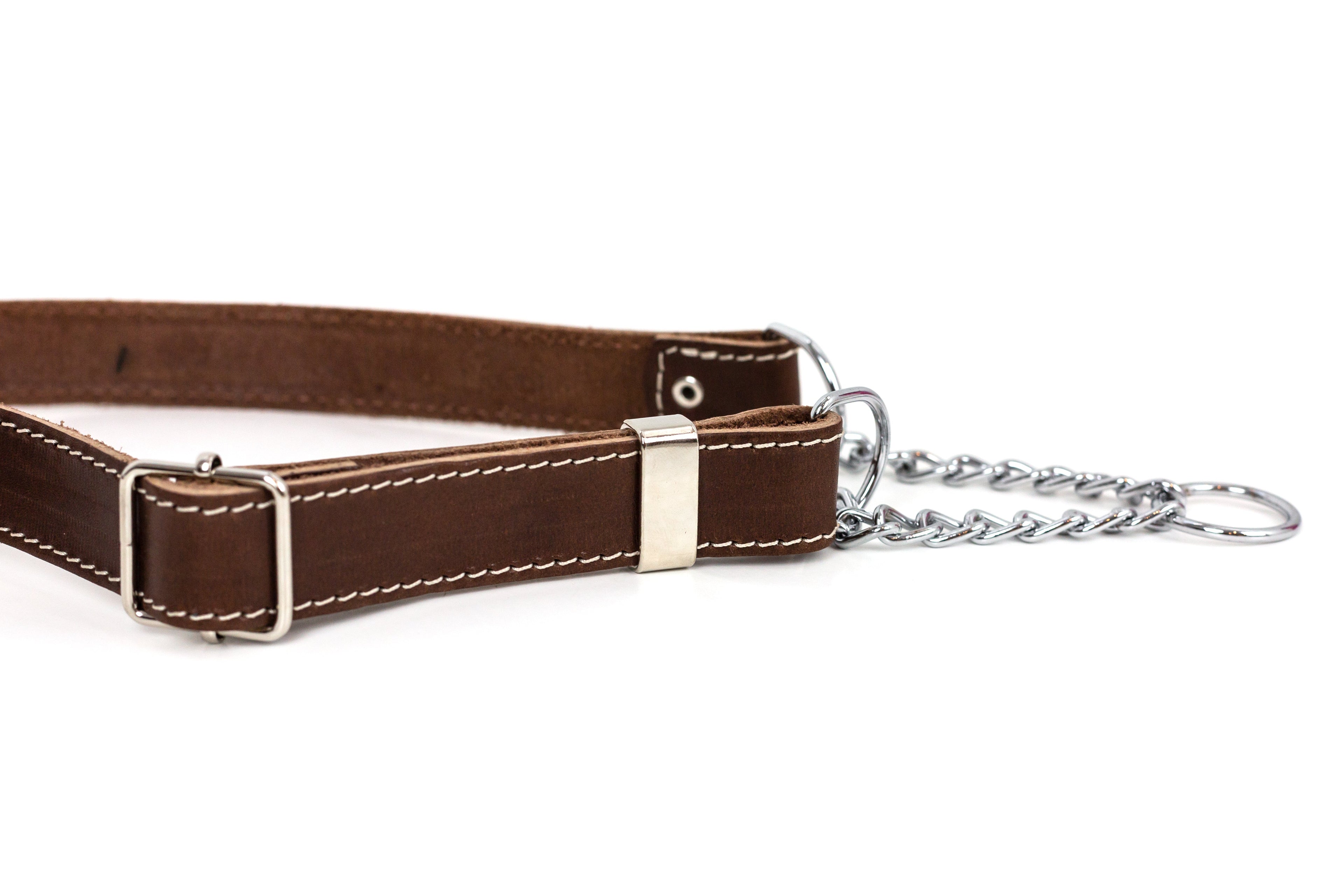 Martingale Chocolate Leather Dog Collar by Euro-Dog Collars and Leads