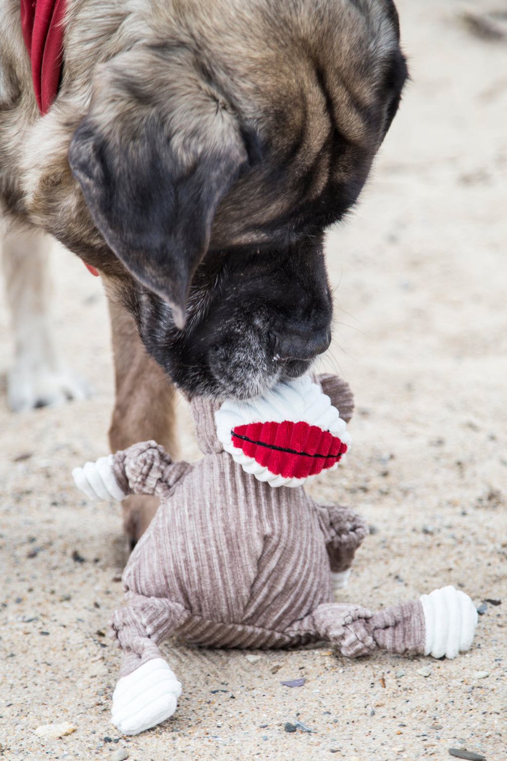 Stuey Sock Monkey Knottie® Plush Dog Toy by HuggleHounds