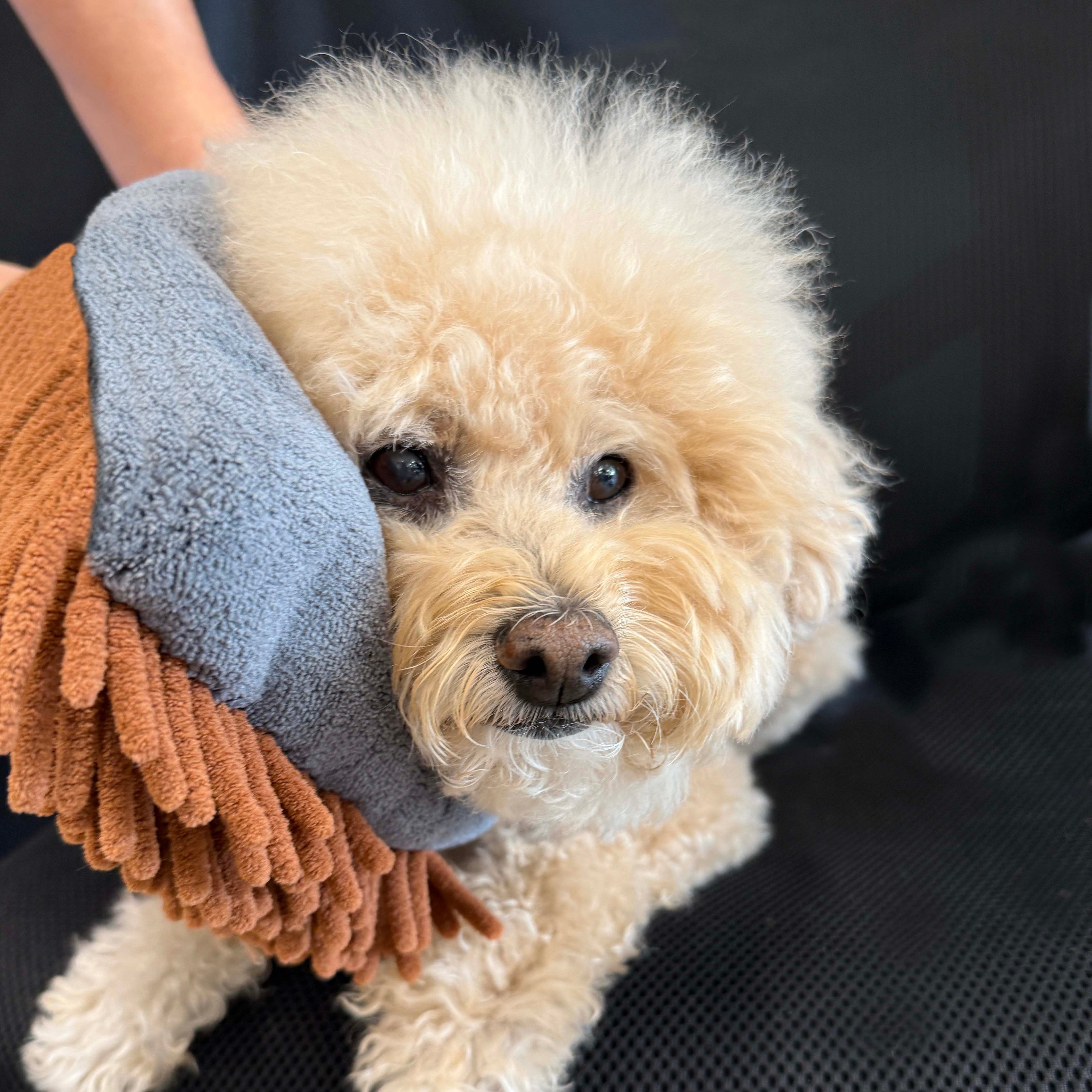 THE MAGIC MITT by PRIDE+GROOM