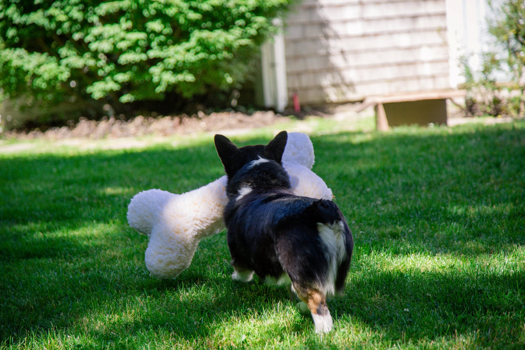HuggleFleece® 2' Plush Bone Dog Toy by HuggleHounds