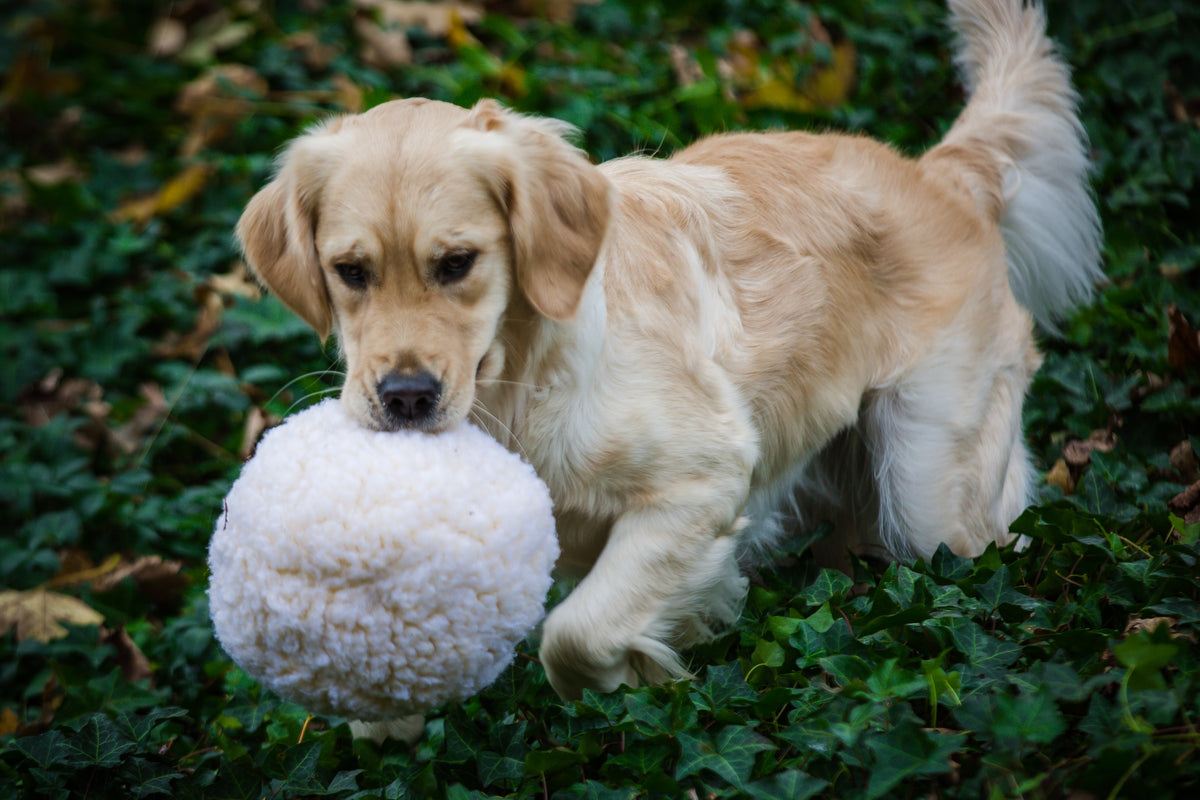 HuggleFleece® Plush Ball Dog Toy by HuggleHounds