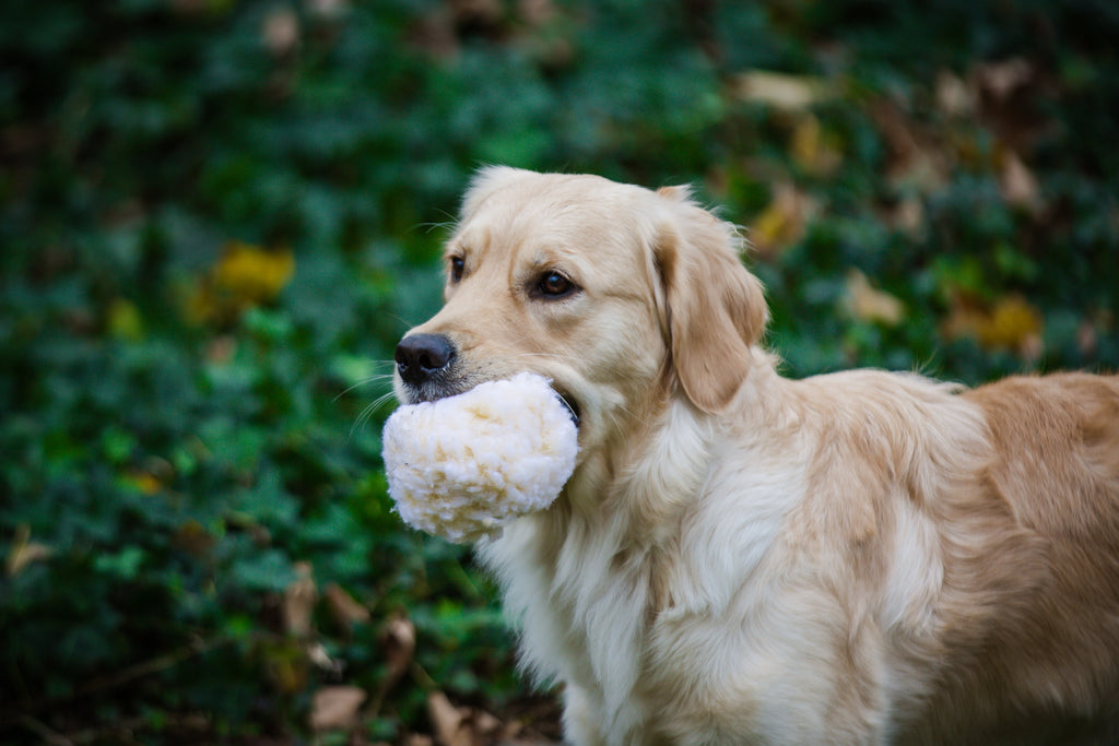 HuggleFleece® Plush Ball Dog Toy by HuggleHounds