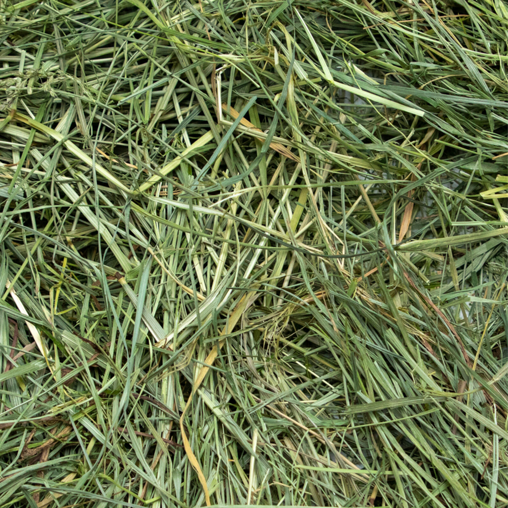 Rabbit Hole Hay Ultra Premium Mountain Grass by Rabbit Hole Hay