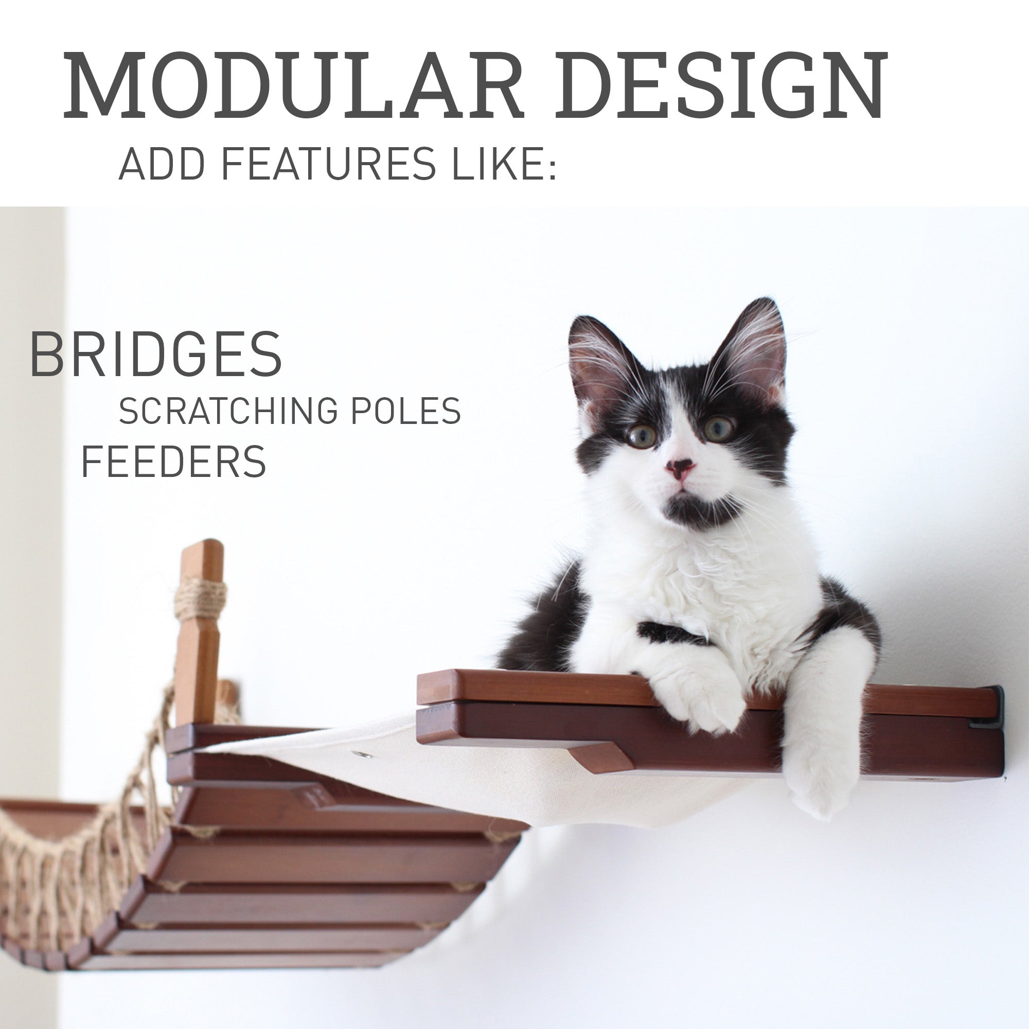 Hanging Cat Bed Hammock by Catastrophic Creations