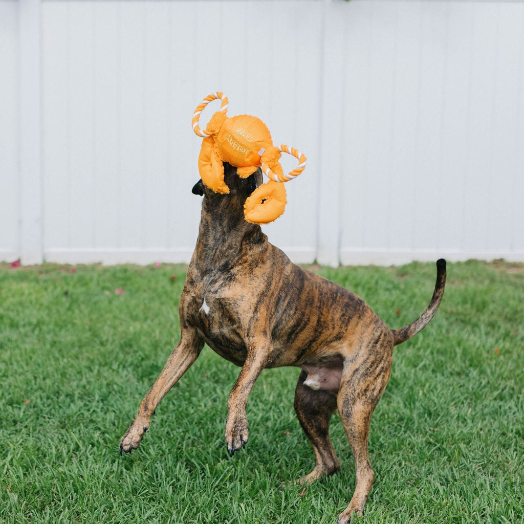 Tug-a-Mals by Jolly Pets