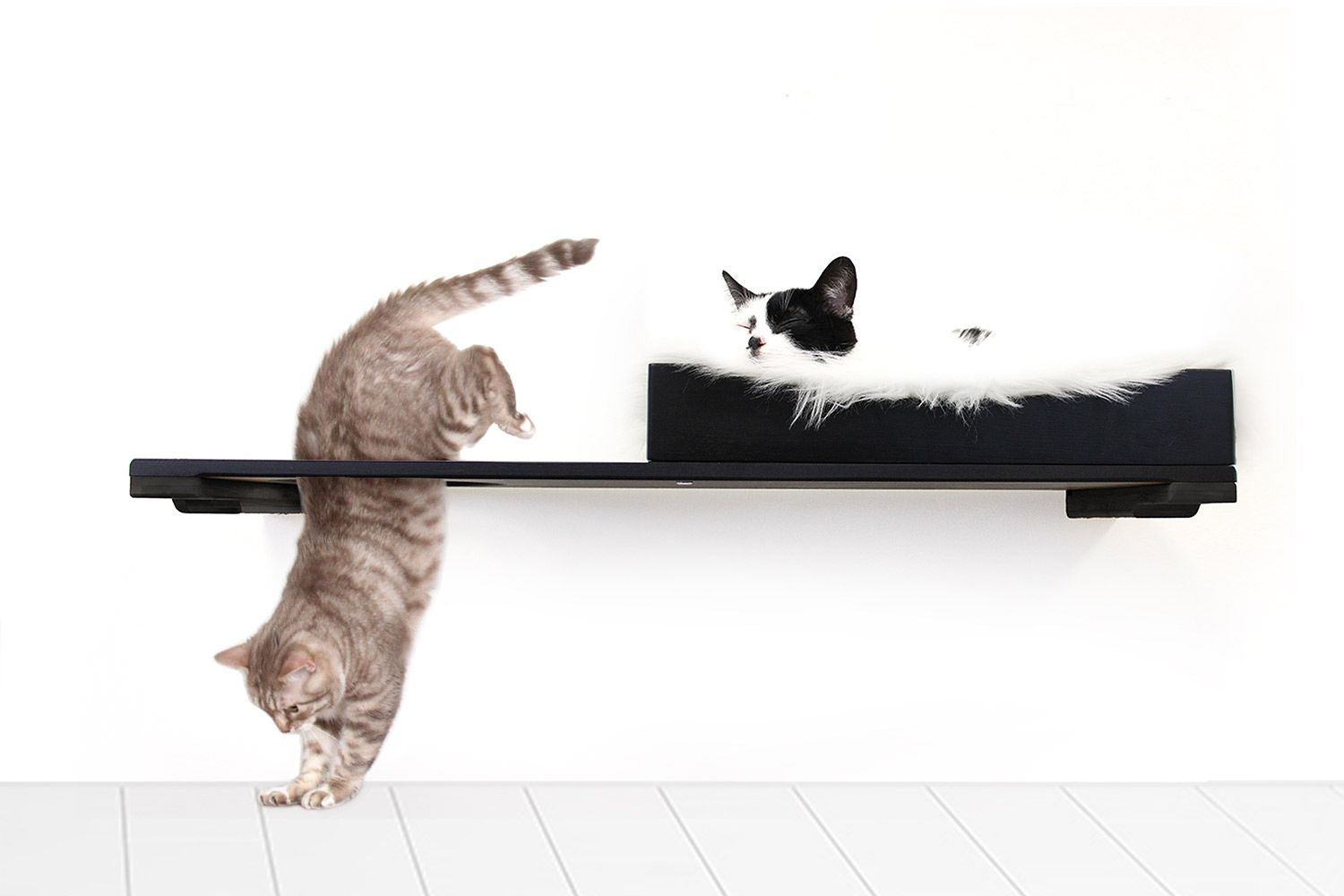 The Cat Nest Bed by Catastrophic Creations