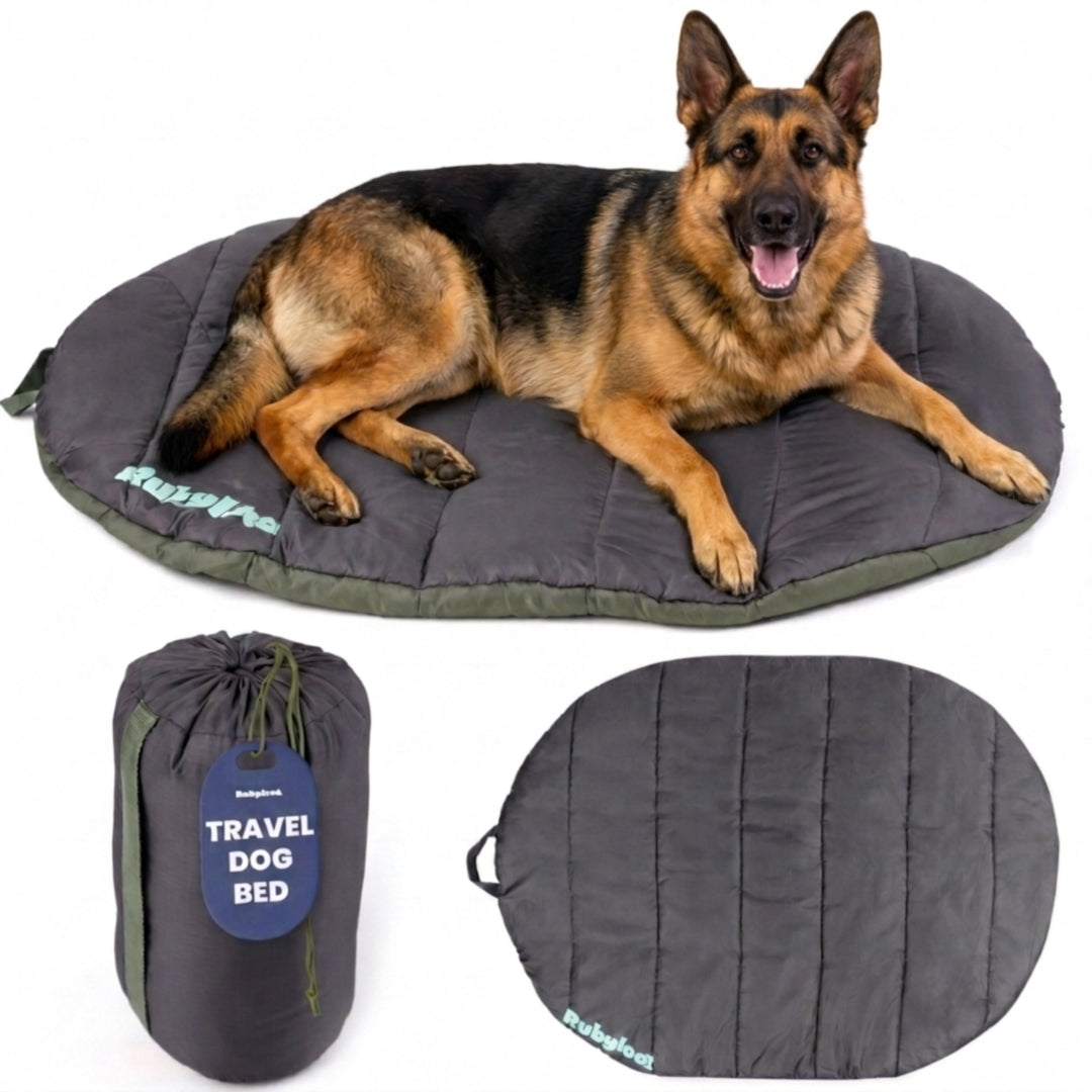Travel Dog Bed - Foldable & Packable for Travel, Road Trip, Camping by Rubyloo