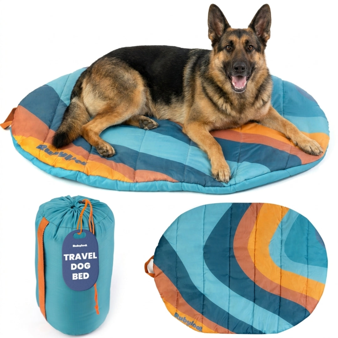 Travel Dog Bed - Foldable & Packable for Travel, Road Trip, Camping by Rubyloo