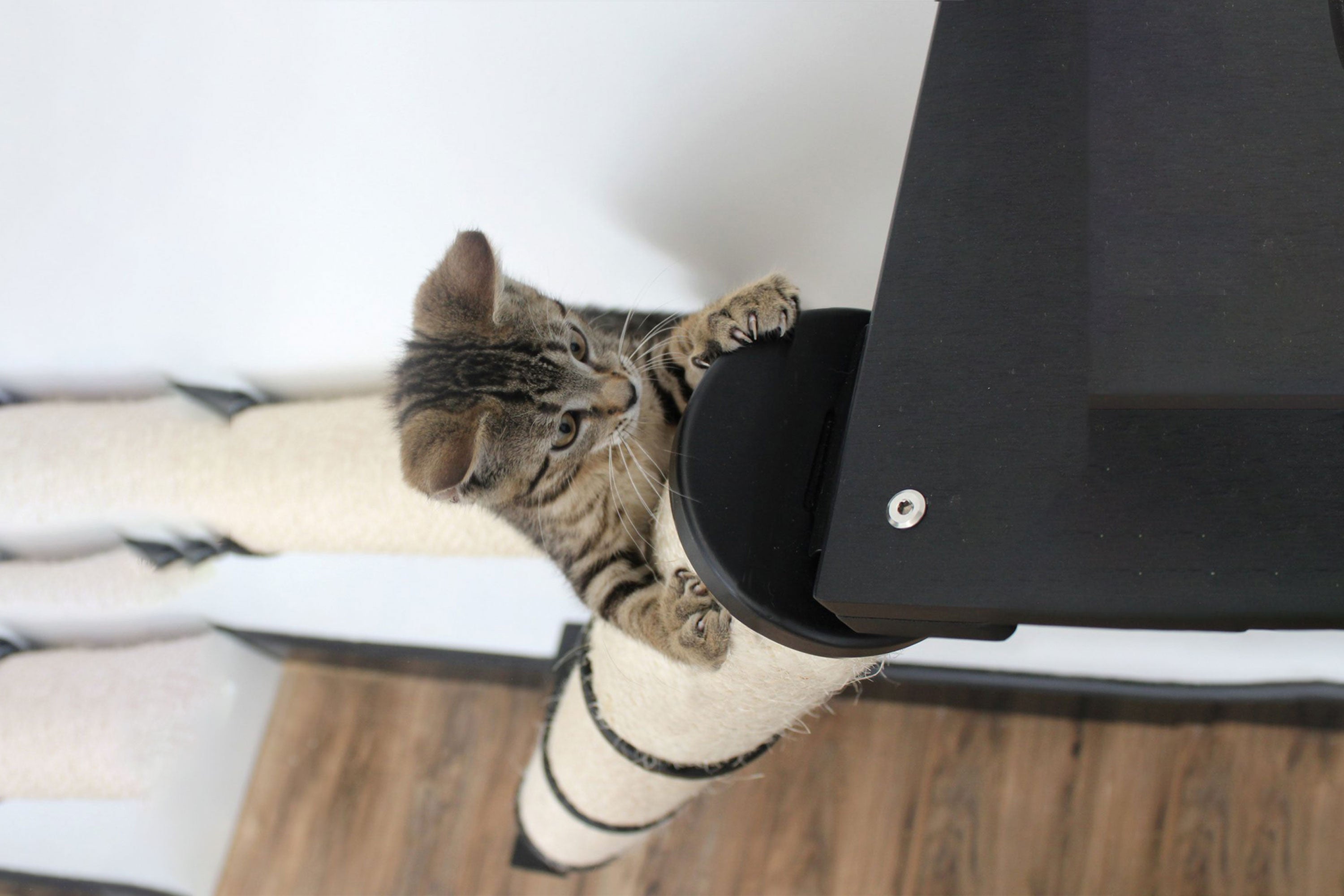 The Crossroads - Cat Wall Scratcher - Tree with Ramp by Catastrophic Creations