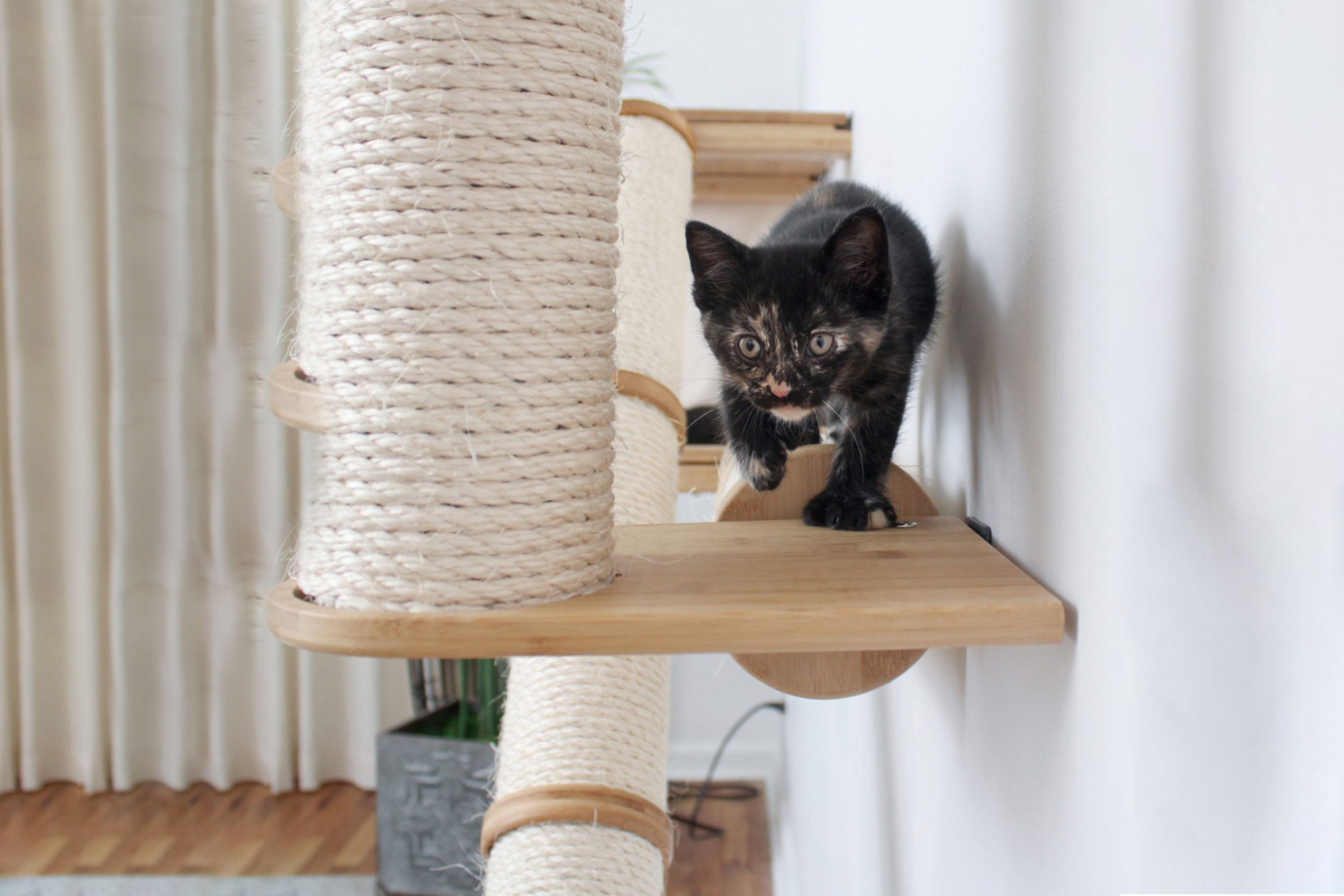 The Crossroads - Cat Wall Scratcher - Tree with Ramp by Catastrophic Creations