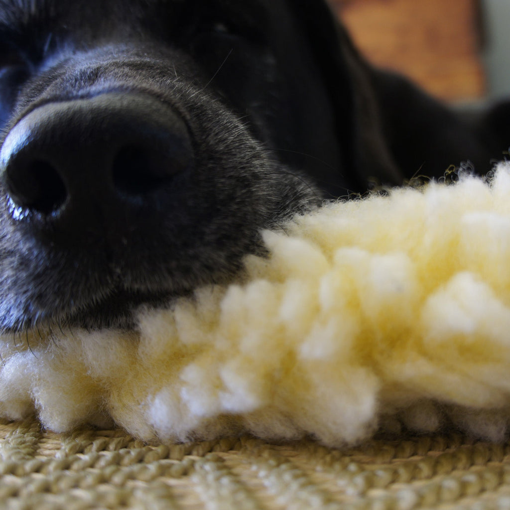 HuggleFleece® Mat Cat & Dog Bed by HuggleHounds