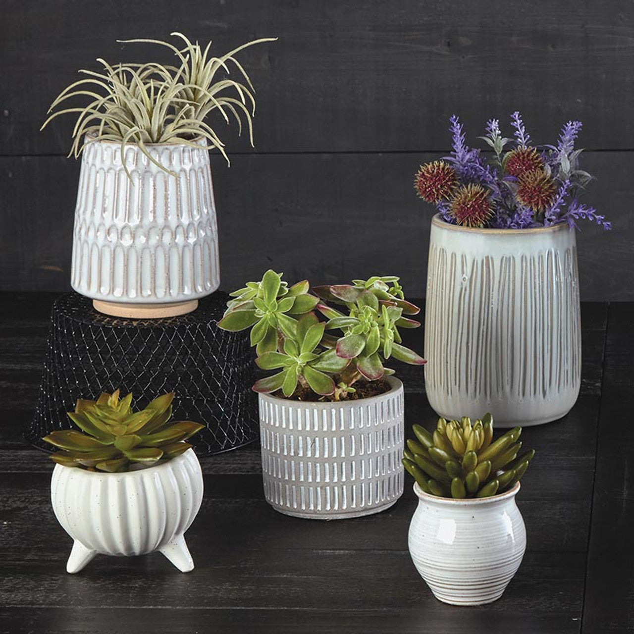Matte Dot Cream Planter with Legs | Decorative Ceramic Plant Pot | 4" x 3.5" by The Bullish Store