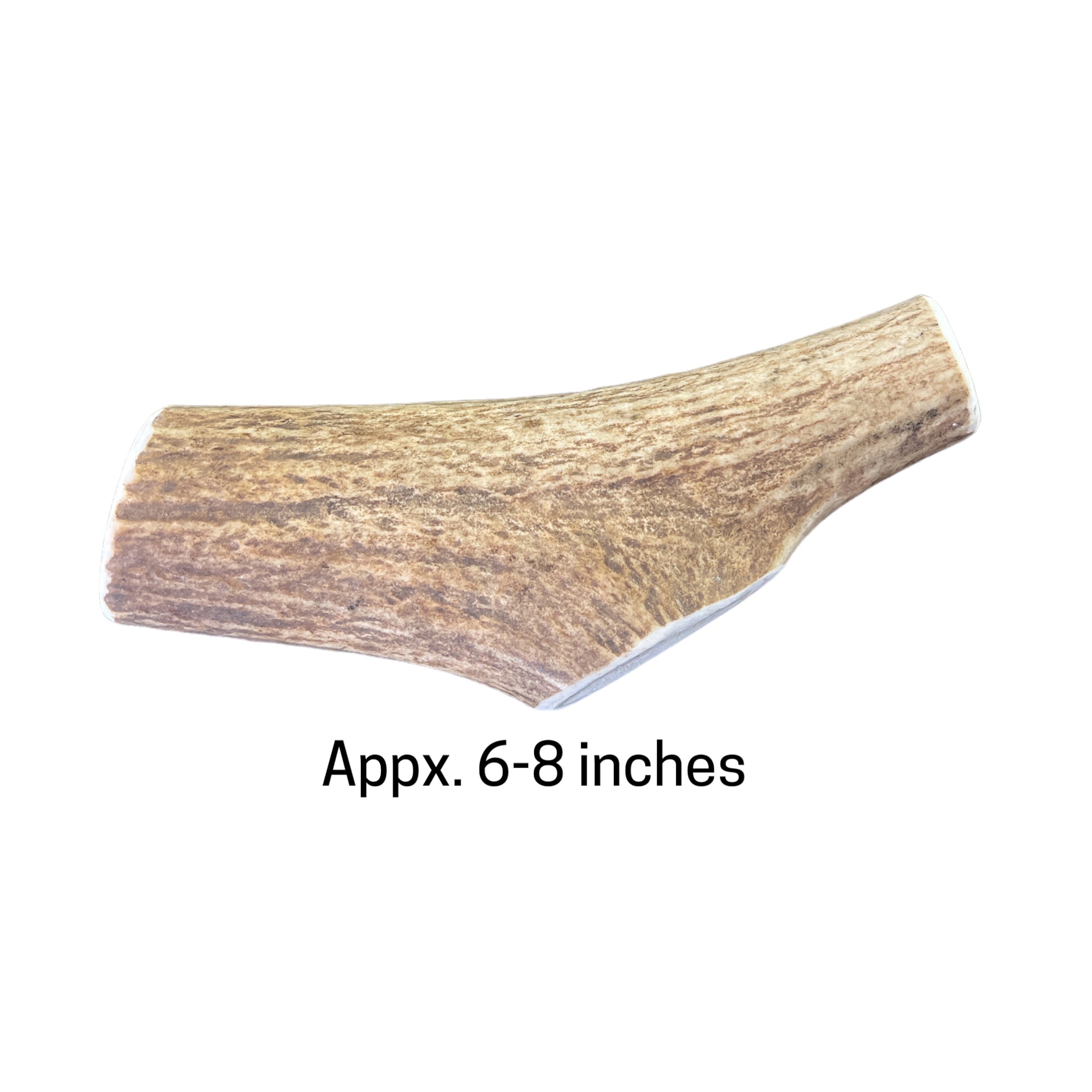 Elk Antlers by Jack's Premium