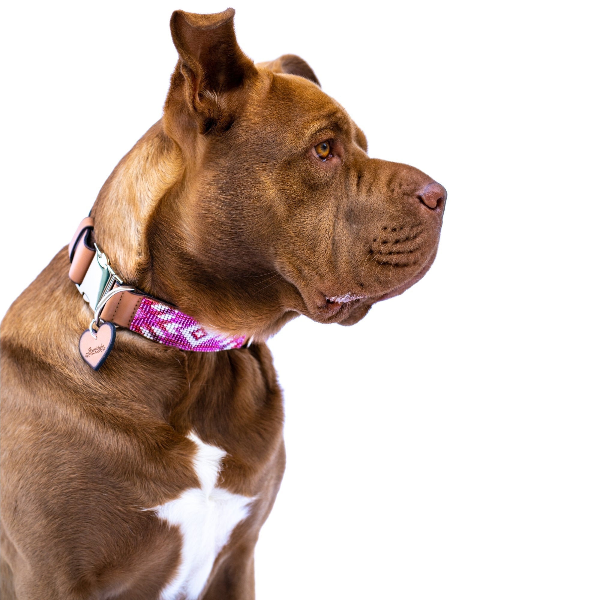 Melrose dog collar (quick release) by Sambboho