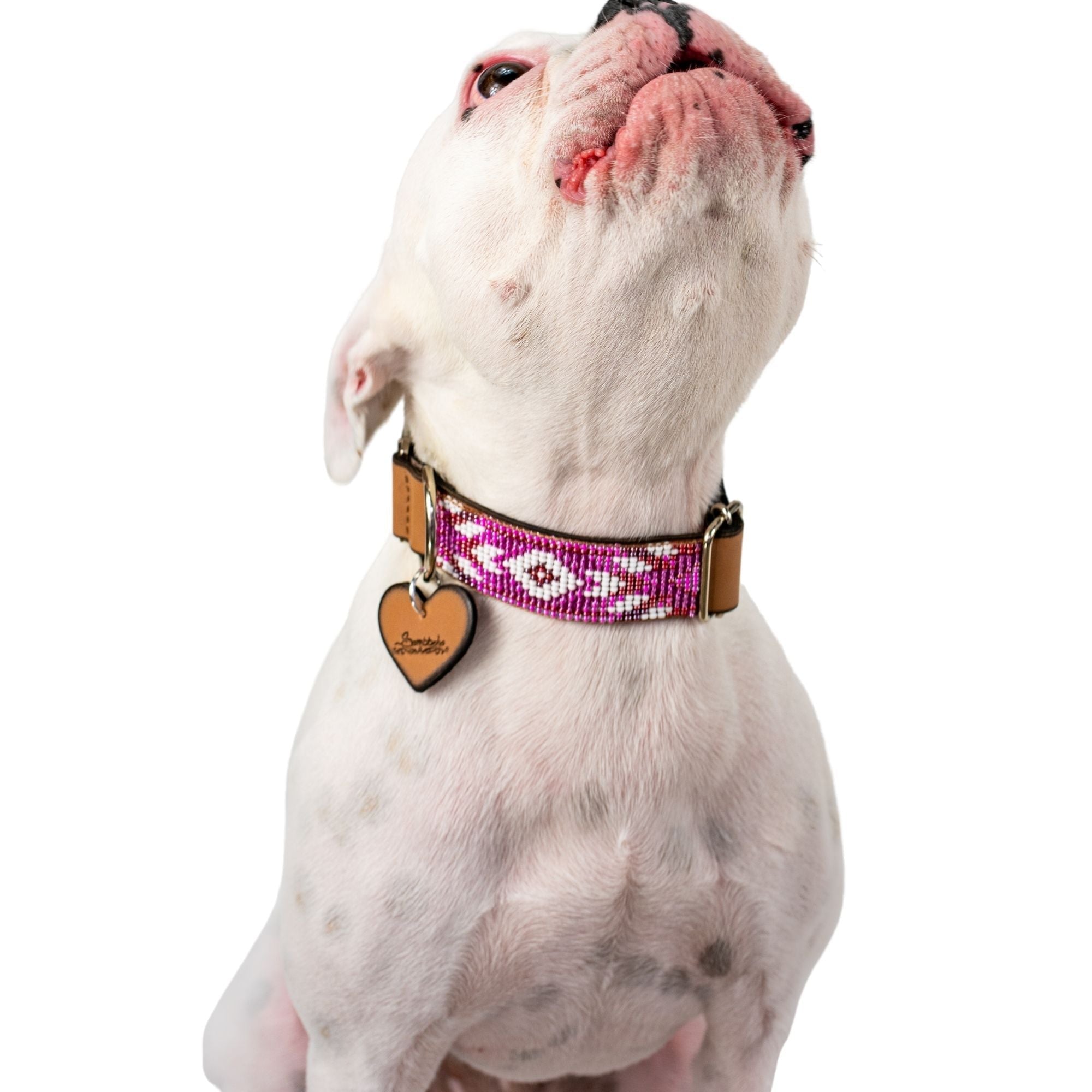 Melrose dog collar (quick release) by Sambboho